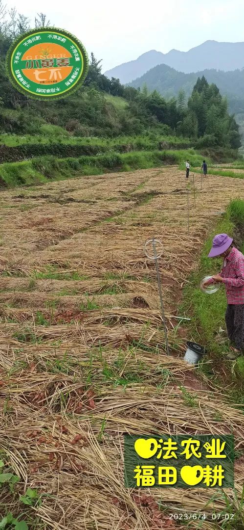 (●'◡'●)6月庆祝春播春种顺利完成! 姜膏姜油 端午糯米 会员积分换购特惠 ,2023预售大米 会员折上折 6.18折 (●'◡'●)6月庆祝春播春种顺利完成! 姜膏姜油 端午糯米 会员积分换购特惠 ,2023预售大米 会员折上折 6.18折