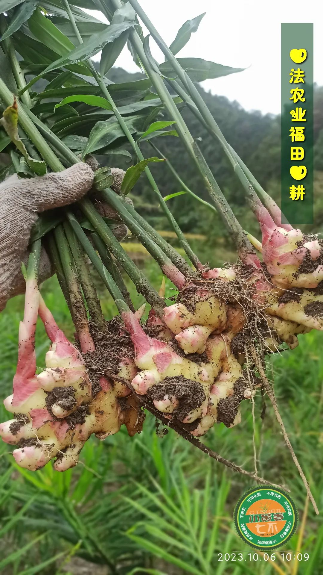 2024年4月春暖花开！春耕优惠“卷”