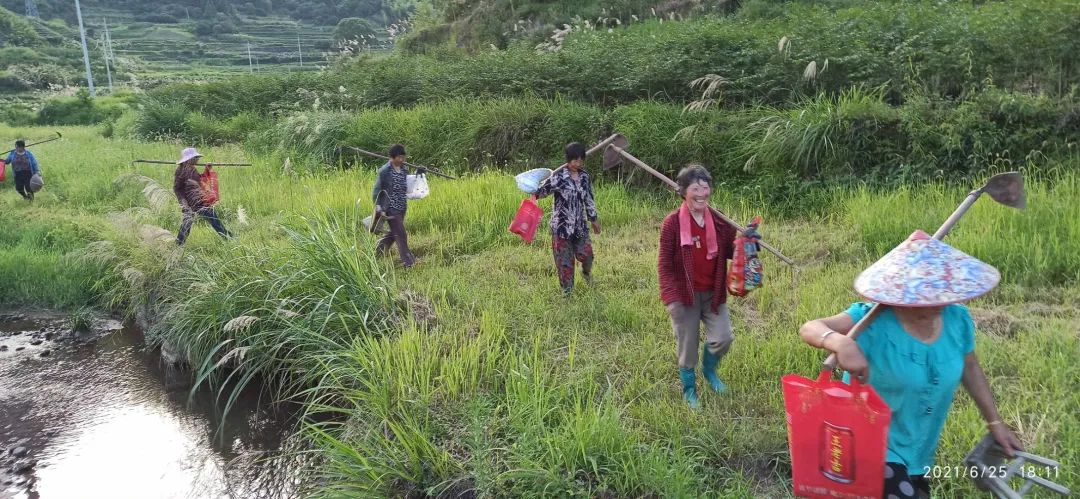 (●'◡'●)6月庆祝春播春种顺利完成! 姜膏姜油 端午糯米 会员积分换购特惠 ,2023预售大米 会员折上折 6.18折 (●'◡'●)6月庆祝春播春种顺利完成! 姜膏姜油 端午糯米 会员积分换购特惠 ,2023预售大米 会员折上折 6.18折