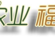 原始点调理九年史牛皮癣:二十天大变化-梁浩宏 27岁香港人 2018年6月-七不姜 生姜养生网-明德CSA生态姜园&明安农业