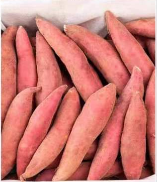 淡竹VS溪港 | 仙居农产品自产自销集市本周六预告来袭! 淡竹VS溪港 | 仙居农产品自产自销集市本周六预告来袭!