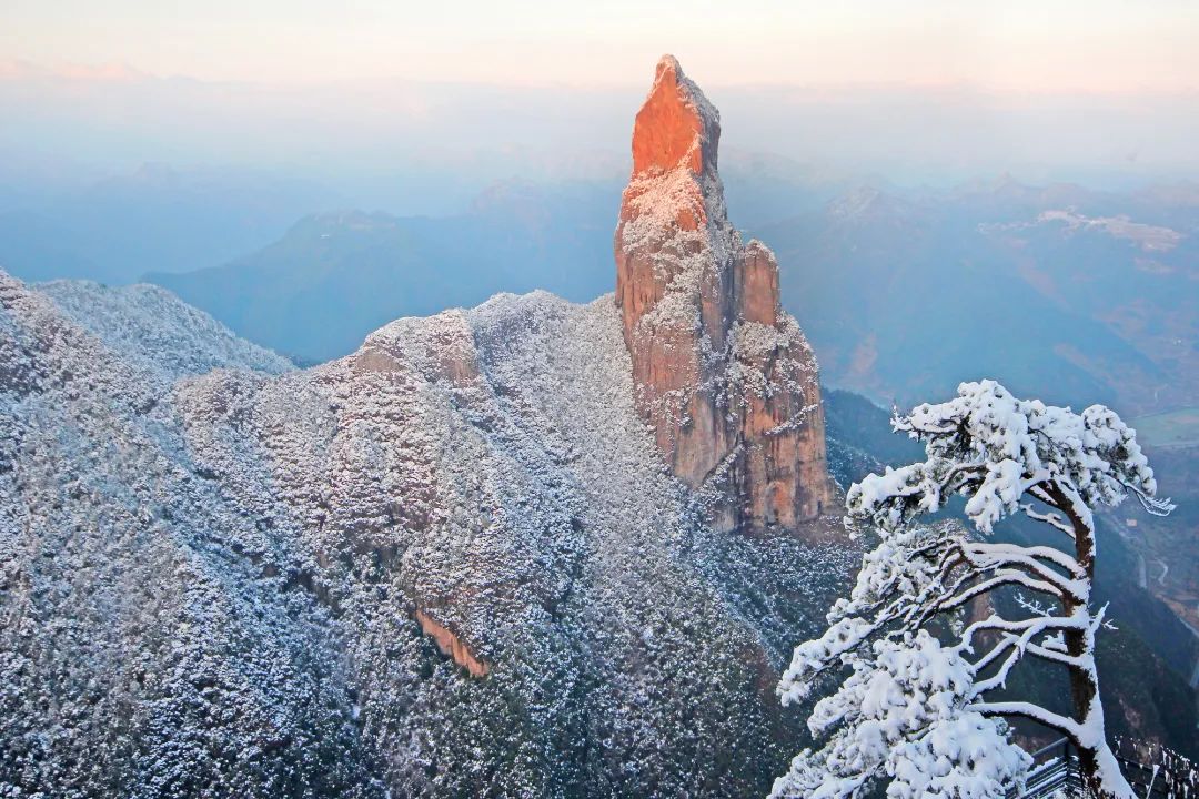 仙居仙景 | 想你的风还是吹到了仙居,“尔滨”老铁们!看仙居给咱整点啥→ 仙居仙景 | 想你的风还是吹到了仙居,“尔滨”老铁们!看仙居给咱整点啥→