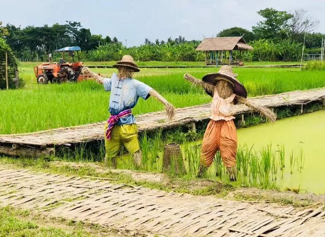 泰国Ginger Farm,30亩土地的亲子农场天天客流爆满! 泰国Ginger Farm,30亩土地的亲子农场天天客流爆满!