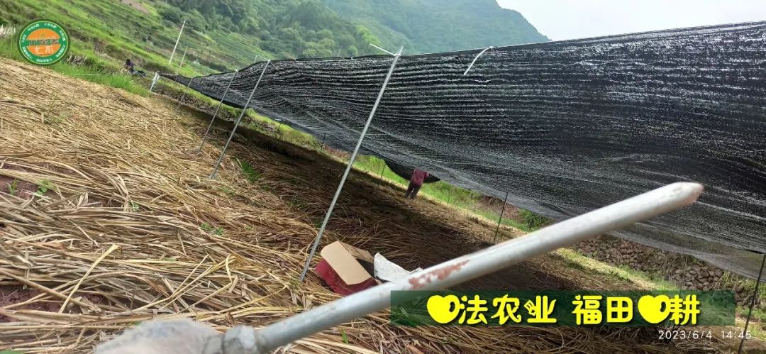 (●'◡'●)6月庆祝春播春种顺利完成! 姜膏姜油 端午糯米 会员积分换购特惠 ,2023预售大米 会员折上折 6.18折 (●'◡'●)6月庆祝春播春种顺利完成! 姜膏姜油 端午糯米 会员积分换购特惠 ,2023预售大米 会员折上折 6.18折