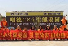 心法农业,福田心耕。明安事业繁荣祈祷文-七不姜 生姜养生网-明德CSA生态姜园&明安农业