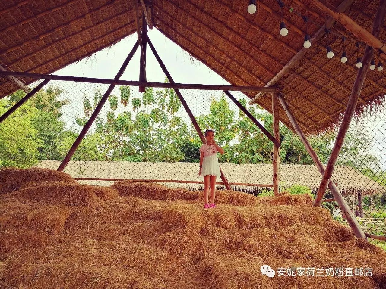 【清迈】GINGER FARM里的泰国农家乐,可以举办生日趴体,10月份假期日托班信息在贴底 【清迈】GINGER FARM里的泰国农家乐,可以举办生日趴体,10月份假期日托班信息在贴底