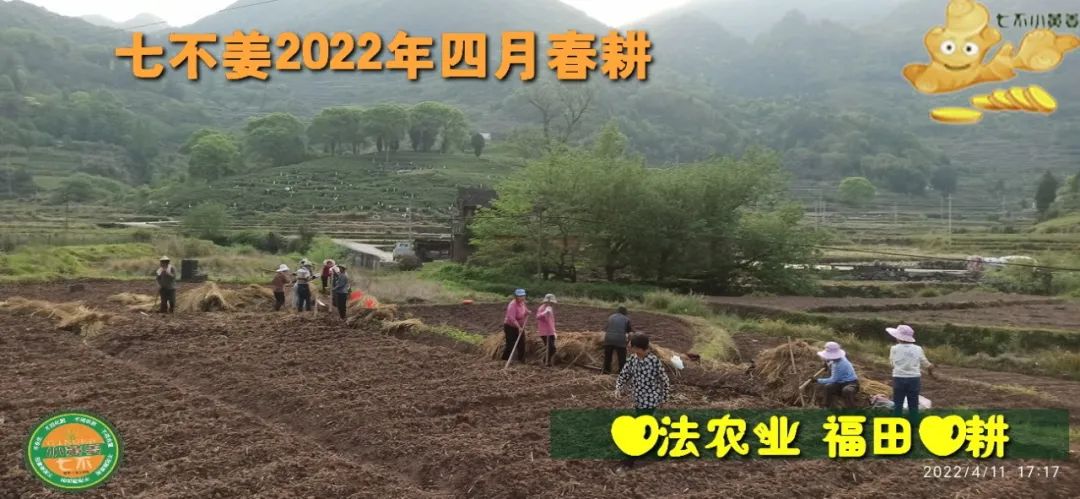 七不姜2022年四月春耕图 七不姜2022年四月春耕图