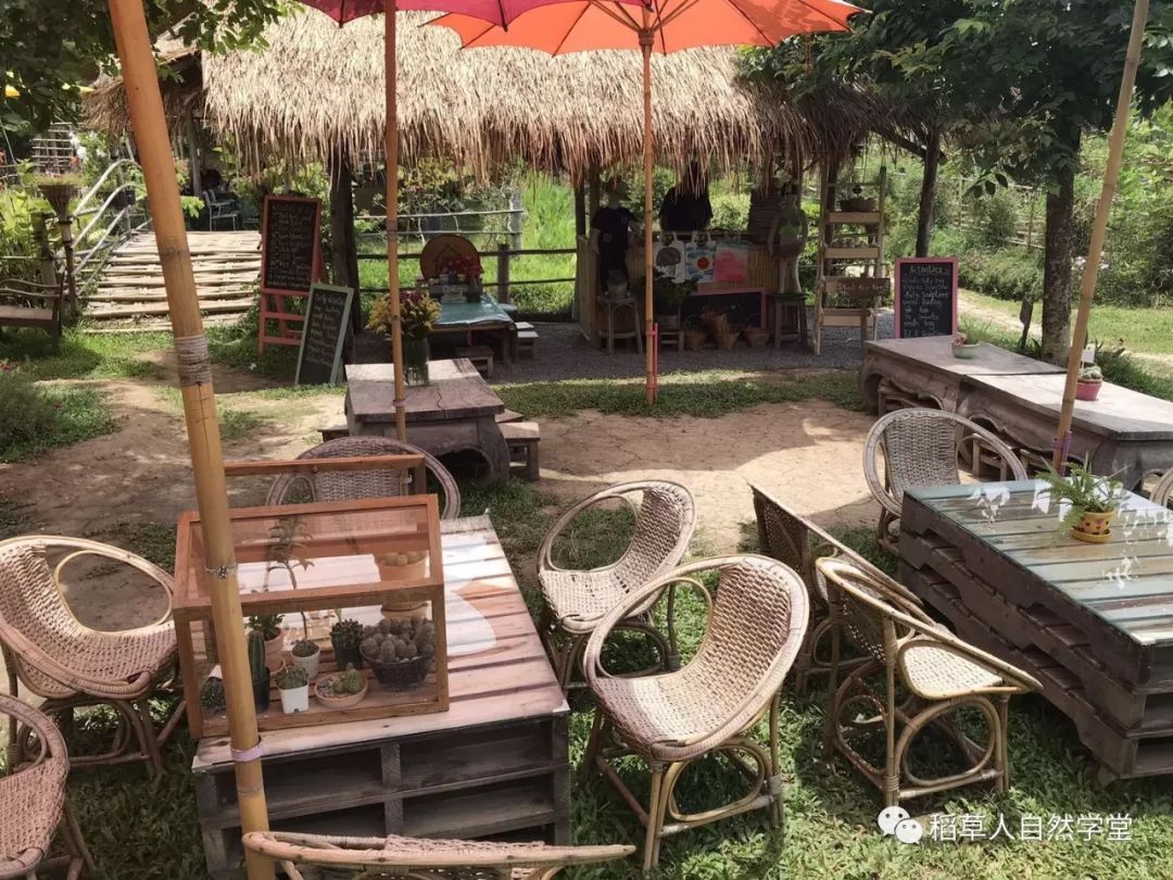 探访清迈Ginger Farm(2018.7.7) 探访清迈Ginger Farm(2018.7.7)