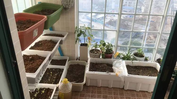 原始点医学-拍打拉筋-自愈法探索心路历程