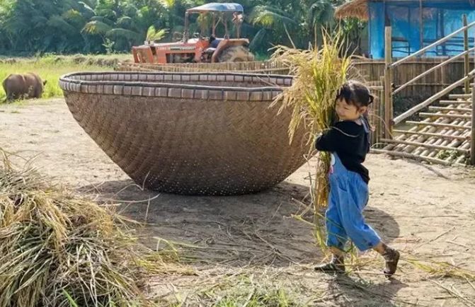 泰国Ginger Farm,30亩土地的亲子农场天天客流爆满! 泰国Ginger Farm,30亩土地的亲子农场天天客流爆满!