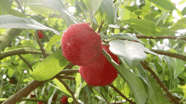 浙江最仙最软糯的城，我赌90%的人会念错