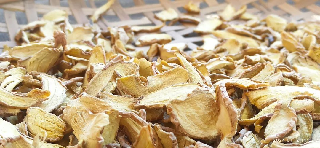 明德CSA生态姜园 - 一个革新的农业未来!尊敬的未来合伙人,诚挚邀请您成为七不姜姜园的股东合伙人.... 明德CSA生态姜园 - 一个革新的农业未来!尊敬的未来合伙人,诚挚邀请您成为七不姜姜园的股东合伙人....