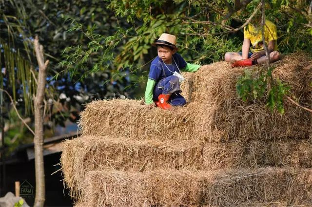 清迈 | 这家开业不久的亲子农庄,太让人动心。 清迈 | 这家开业不久的亲子农庄,太让人动心。