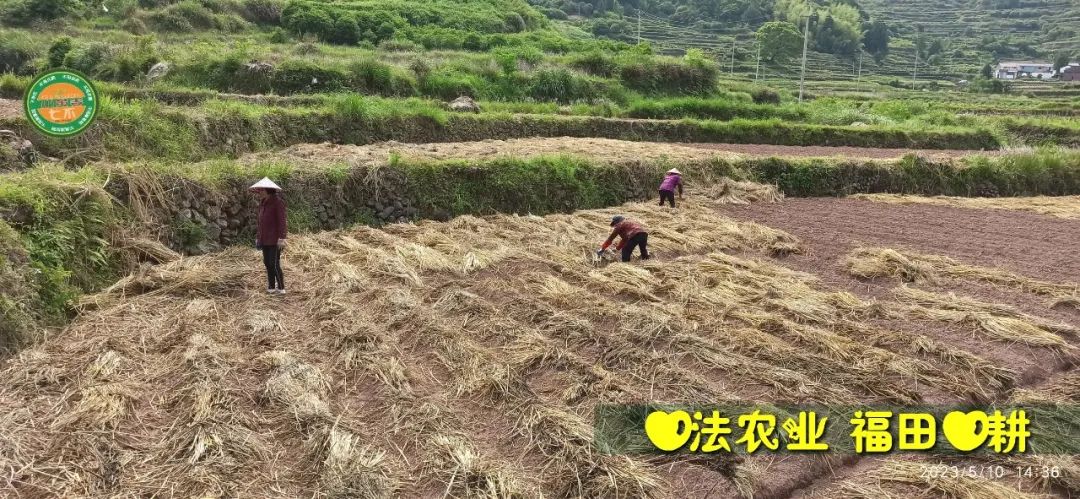 2023年4月-5月 七不姜春播图!家庭厨房生姜如何去皮切片 七不姜5月促销优惠劵 2023年4月-5月 七不姜春播图!家庭厨房生姜如何去皮切片 七不姜5月促销优惠劵