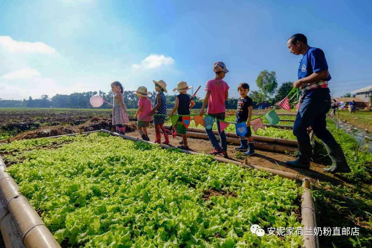 【清迈】GINGER FARM里的泰国农家乐,可以举办生日趴体,10月份假期日托班信息在贴底 【清迈】GINGER FARM里的泰国农家乐,可以举办生日趴体,10月份假期日托班信息在贴底