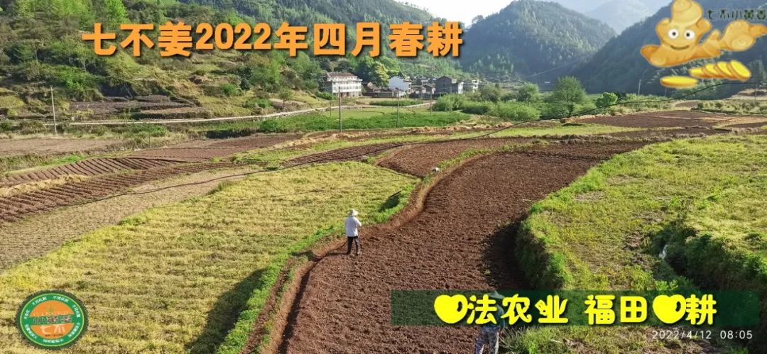 七不姜2022年四月春耕图 七不姜2022年四月春耕图