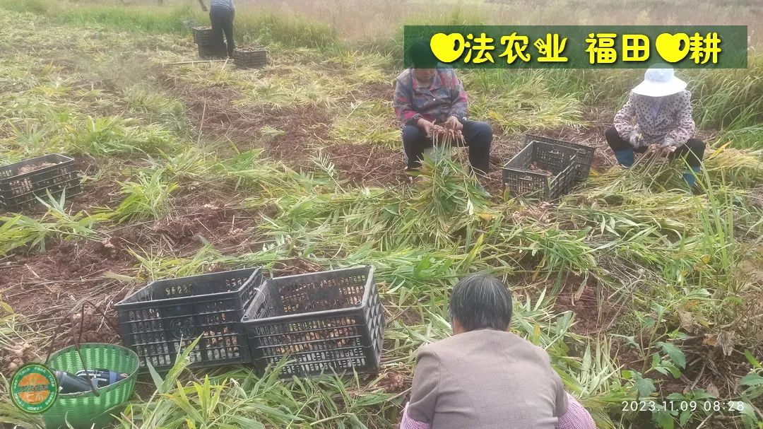 2024年4月春暖花开！春耕优惠“卷”