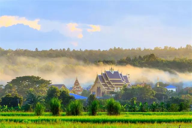 清迈 | 这家开业不久的亲子农庄,太让人动心。 清迈 | 这家开业不久的亲子农庄,太让人动心。