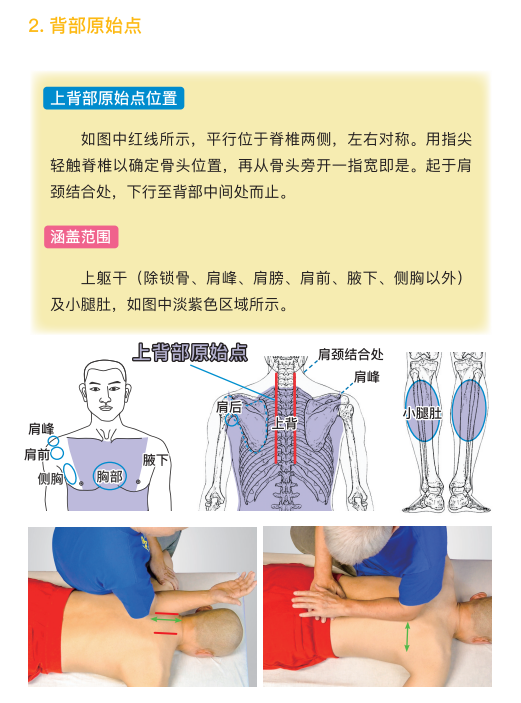 原始点 感冒发烧 重病处理 理论与操作2022.12 姜的应用 原始点 感冒发烧 重病处理 理论与操作2022.12 姜的应用