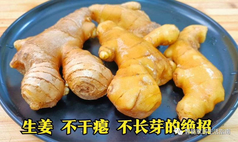 保存生姜不用放冰箱！教你诀窍，生姜不干瘪不发芽，放一年都新鲜