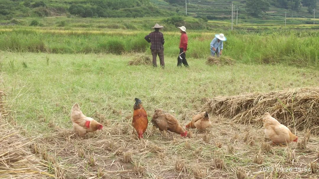 2024年1月新年快乐!元旦快乐!优惠“卷”送给您收下。 2024年1月新年快乐!元旦快乐!优惠“卷”送给您收下。