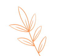 乐清市第24期原始点培训邀您共赴健康之旅! 乐清市第24期原始点培训邀您共赴健康之旅!