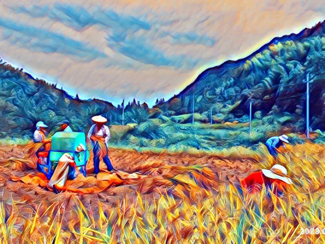 世界粮食日10月16日 特惠打包价 包邮 5斤鲜姜 +5斤 新鲜大米 自然生态安全健康 粮食 世界粮食日10月16日 特惠打包价 包邮 5斤鲜姜 +5斤 新鲜大米 自然生态安全健康 粮食