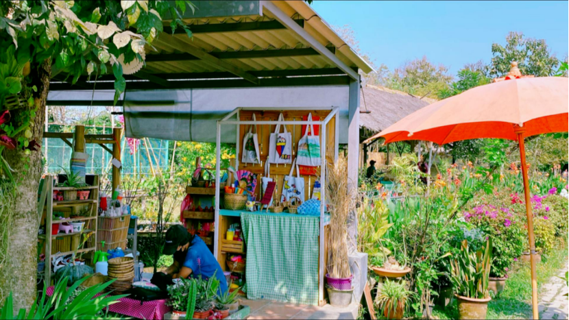 他山之石 | 清迈的30亩生姜农场,亲子间的自然学堂 他山之石 | 清迈的30亩生姜农场,亲子间的自然学堂