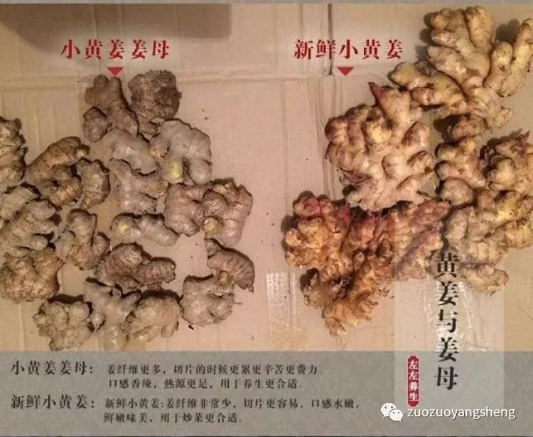 纯正湖南小黄姜干姜片,给您一份浓浓的爱…… 纯正湖南小黄姜干姜片,给您一份浓浓的爱……