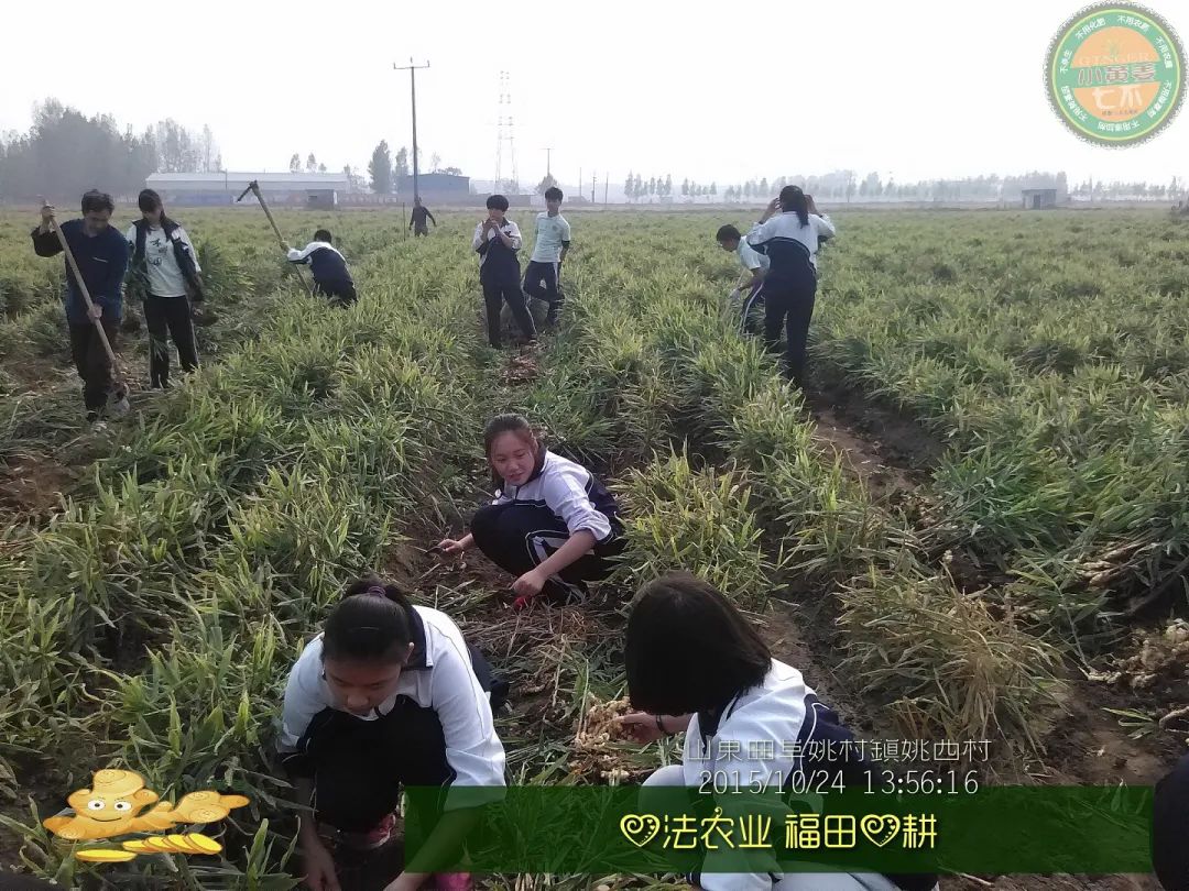 心法农业,福田心耕。明安事业繁荣祈祷文 心法农业,福田心耕。明安事业繁荣祈祷文