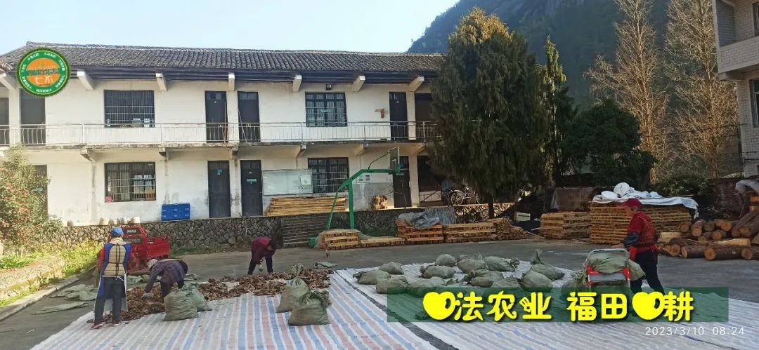 2023年4月-5月 七不姜春播图!家庭厨房生姜如何去皮切片 七不姜5月促销优惠劵 2023年4月-5月 七不姜春播图!家庭厨房生姜如何去皮切片 七不姜5月促销优惠劵