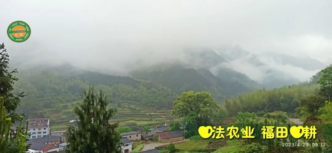 2023年4月-5月 七不姜春播图!家庭厨房生姜如何去皮切片 七不姜5月促销优惠劵 2023年4月-5月 七不姜春播图!家庭厨房生姜如何去皮切片 七不姜5月促销优惠劵