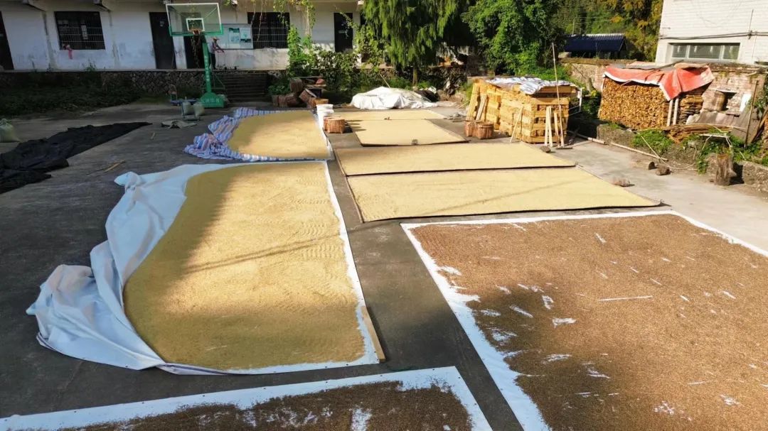 姜园国庆放假。特惠限时 姜膏 每满30.00元减10.00元,节后发货包邮、送优惠券/码 3张、送赠品 姜园国庆放假。特惠限时 姜膏 每满30.00元减10.00元,节后发货包邮、送优惠券/码 3张、送赠品