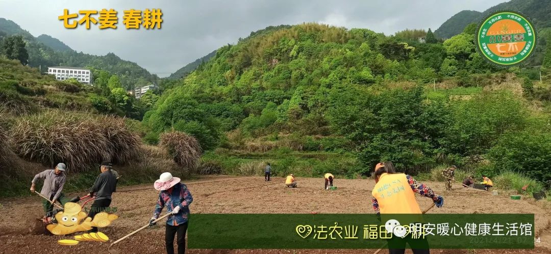 一年春作首 万事行为先(●'◡'●)4月春耕 防疫抗甲流 特惠折扣专场！继续送世界名品