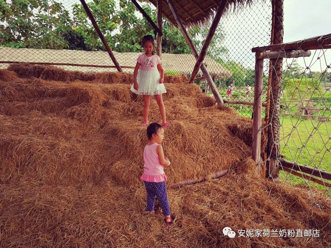 【清迈】GINGER FARM里的泰国农家乐,可以举办生日趴体,10月份假期日托班信息在贴底 【清迈】GINGER FARM里的泰国农家乐,可以举办生日趴体,10月份假期日托班信息在贴底