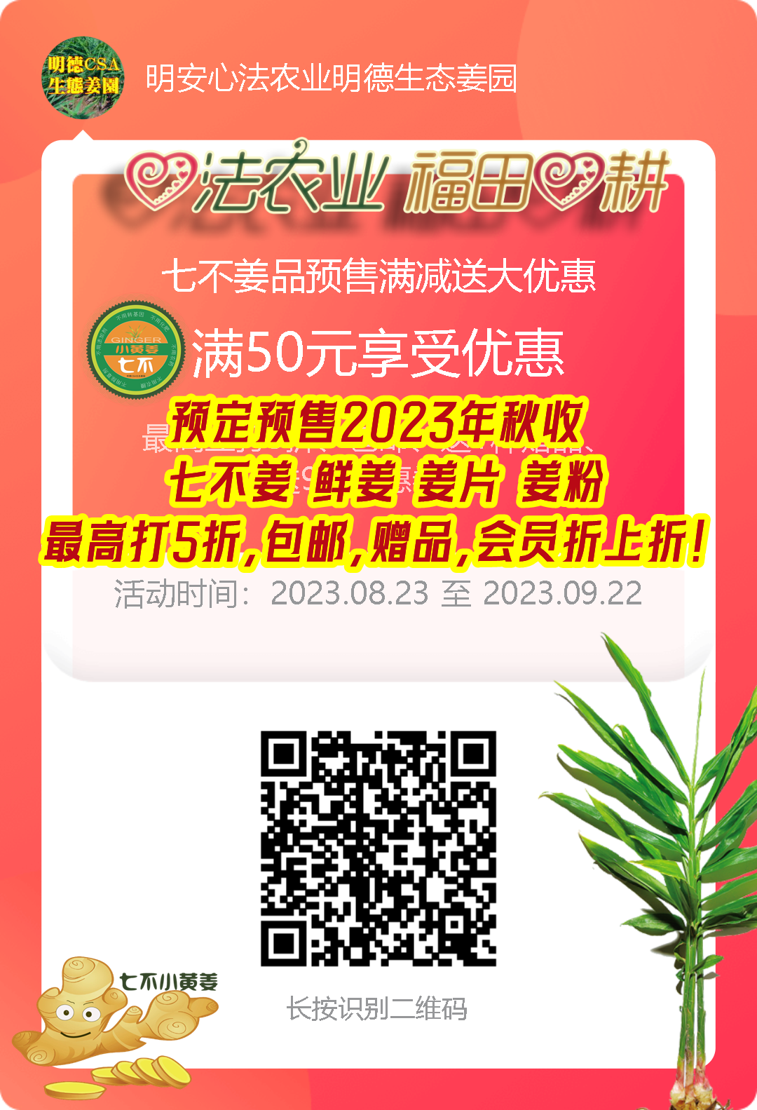 浙江仙居 七不小黄姜 鲜嫩姜 新鲜 超新上市 每周超鲜嫩姜2斤/5斤 生姜鲜姜2023年9月现采现发 生态自然 明安心法农业