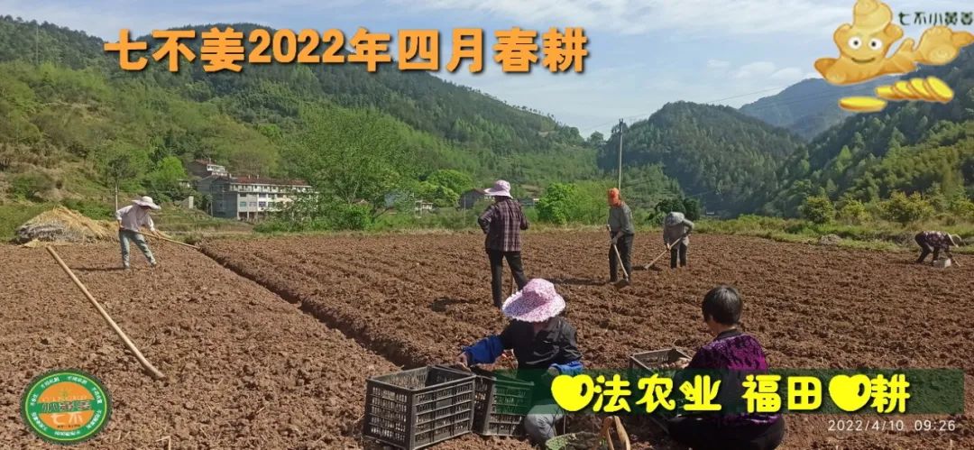 七不姜2022年四月春耕图 七不姜2022年四月春耕图