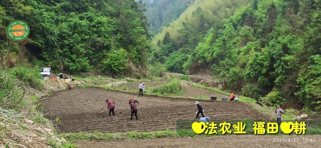 2023年4月-5月 七不姜春播图!家庭厨房生姜如何去皮切片 七不姜5月促销优惠劵 2023年4月-5月 七不姜春播图!家庭厨房生姜如何去皮切片 七不姜5月促销优惠劵