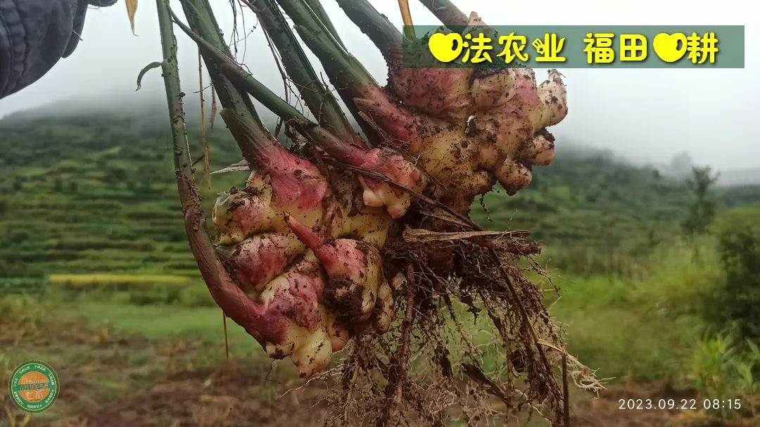 2024年4月春暖花开！春耕优惠“卷”
