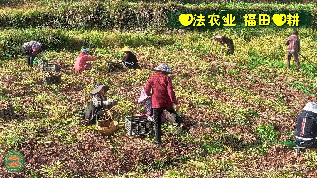 2024年4月春暖花开！春耕优惠“卷”
