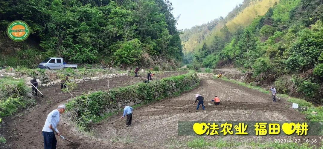 2023年4月-5月 七不姜春播图!家庭厨房生姜如何去皮切片 七不姜5月促销优惠劵 2023年4月-5月 七不姜春播图!家庭厨房生姜如何去皮切片 七不姜5月促销优惠劵