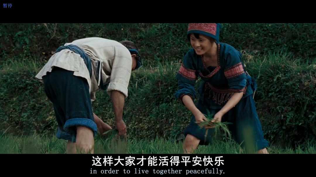 七不红米水稻9月11日上市现货销售-新米限时特惠 家庭大米专场:红米/糯米/ 黑米/泰两优217/中浙优H7 品种多质量优 七不红米水稻9月11日上市现货销售-新米限时特惠 家庭大米专场:红米/糯米/ 黑米/泰两优217/中浙优H7 品种多质量优