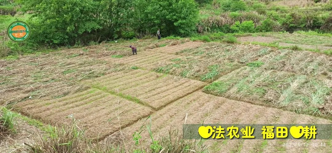 2023年4月-5月 七不姜春播图!家庭厨房生姜如何去皮切片 七不姜5月促销优惠劵 2023年4月-5月 七不姜春播图!家庭厨房生姜如何去皮切片 七不姜5月促销优惠劵