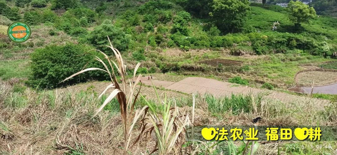 2023年4月-5月 七不姜春播图!家庭厨房生姜如何去皮切片 七不姜5月促销优惠劵 2023年4月-5月 七不姜春播图!家庭厨房生姜如何去皮切片 七不姜5月促销优惠劵