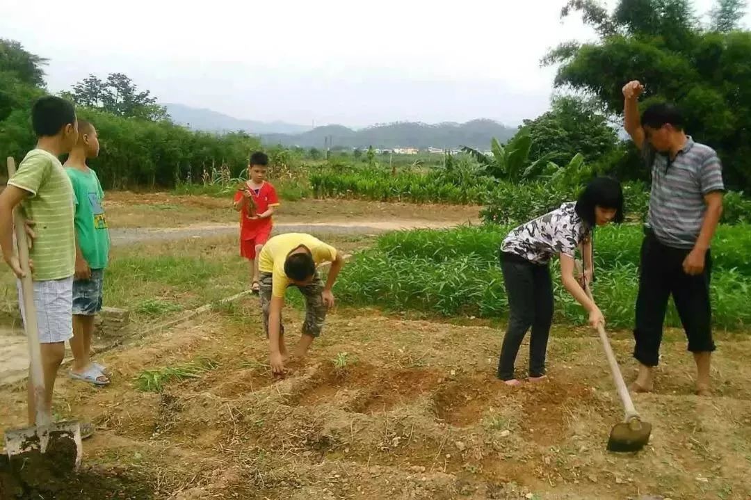 2024年厦门明道国学堂暑期少儿“耕读结合”特色国学夏令营 招生简章 2024年厦门明道国学堂暑期少儿“耕读结合”特色国学夏令营 招生简章