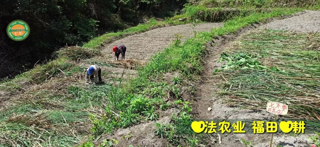 2023年4月-5月 七不姜春播图!家庭厨房生姜如何去皮切片 七不姜5月促销优惠劵 2023年4月-5月 七不姜春播图!家庭厨房生姜如何去皮切片 七不姜5月促销优惠劵