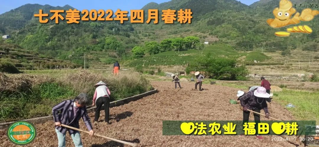 七不姜2022年四月春耕图 七不姜2022年四月春耕图