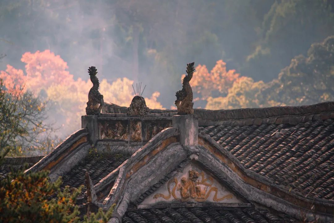 浙江最仙最软糯的城，我赌90%的人会念错