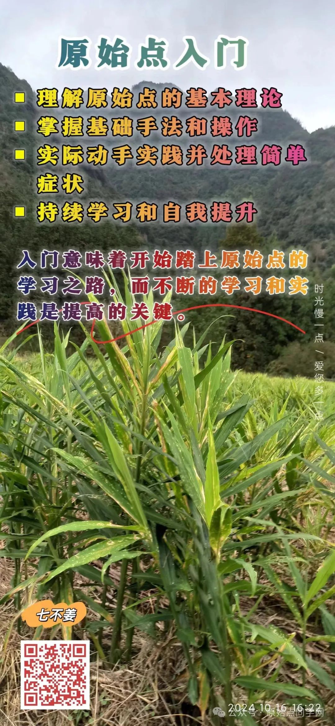 (广告)双11 除了七不姜,今天什么姜都别买！