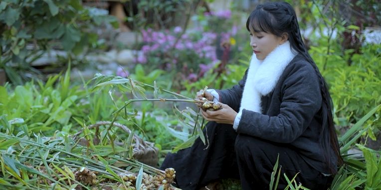 霜雪将至,收姜窖藏,再做几道暖暖的姜味小食 霜雪将至,收姜窖藏,再做几道暖暖的姜味小食